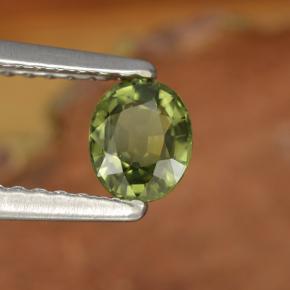 Saphir vert naturelle coupe ovale, 0,52 ct, VVS-VS