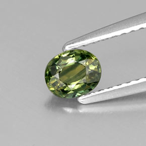Saphir vert naturelle coupe ovale, 0,51 ct, VS