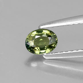 Saphir vert naturelle coupe ovale, 0,51 ct, VVS-VS