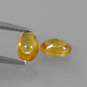 Achetez naturel ct jaune saphir gems, transparent, en provenance thaïlande chez gemselect. en stock, livraison internationale!