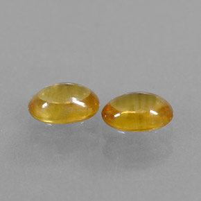Achetez naturel ct jaune saphir gems, transparent, en provenance thaïlande chez gemselect. en stock, livraison internationale!