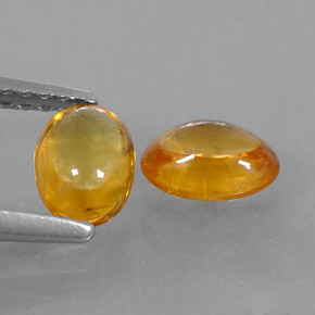 Achetez naturel ct orange saphir gems, coupe ovale, en provenance thaïlande chez gemselect. en stock, livraison internationale!