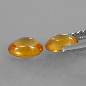 Achetez naturel ct orange saphir gems, coupe ovale, en provenance thaïlande chez gemselect. en stock, livraison internationale!