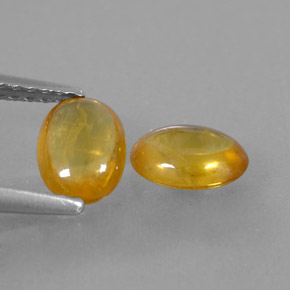 Achetez naturel ct orange saphir gems, coupe ovale, en provenance thaïlande chez gemselect. en stock, livraison internationale!