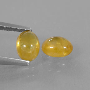 Achetez naturel ct jaune saphir gems, transparent, en provenance thaïlande chez gemselect. en stock, livraison internationale!