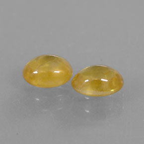 Achetez naturel ct jaune saphir gems, transparent, en provenance thaïlande chez gemselect. en stock, livraison internationale!