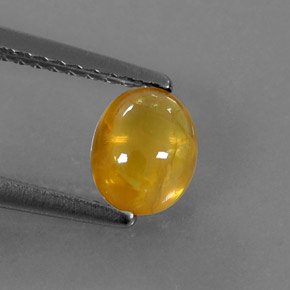 Saphir jaune naturelle transparent, 0,97 ct, transparent / translucide