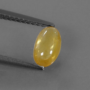 Saphir jaune naturelle transparent, 0,85 ct, transparent / translucide