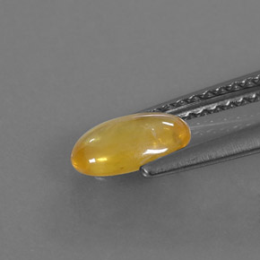 Saphir jaune naturelle transparent, 0,85 ct, transparent / translucide