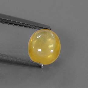 Saphir jaune naturelle transparent, 1,09 ct, transparent / translucide