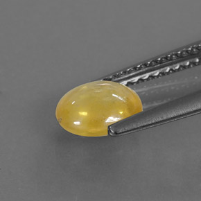 Saphir jaune naturelle transparent, 1,09 ct, transparent / translucide