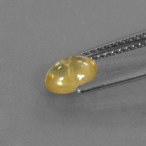 Saphir jaune naturelle transparent, 0,87 ct, transparent / translucide