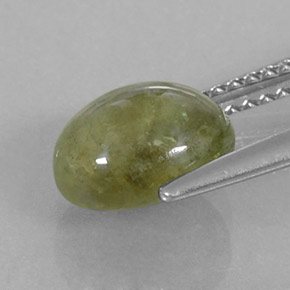 Saphir vert naturelle transparent, 3,17 ct, transparent / translucide