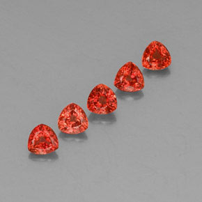 Achetez naturel 1,87ct orange saphir gems, trillion, en provenance tanzanie chez gemselect. en stock, livraison internationale!