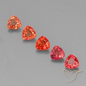 Achetez naturel 1,76ct multicolore saphir gems, trillion, en provenance tanzanie chez gemselect. en stock, livraison internationale!