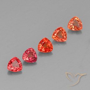 Achetez naturel 1,76ct multicolore saphir gems, trillion, en provenance tanzanie chez gemselect. en stock, livraison internationale!