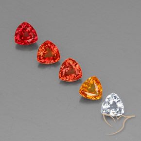 Achetez naturel 1,64ct multicolore saphir gems, trillion, en provenance tanzanie chez gemselect. en stock, livraison internationale!
