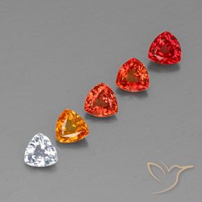 Achetez naturel 1,64ct multicolore saphir gems, trillion, en provenance tanzanie chez gemselect. en stock, livraison internationale!