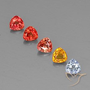 Achetez naturel 1,78ct multicolore saphir gems, trillion, en provenance tanzanie chez gemselect. en stock, livraison internationale!