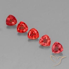 Shop natural 1.83ct Rouge vif Saphir gems, Trillion, from Tanzanie at GemSelect. In stock, global shipping!