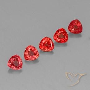 Shop natural 1.83ct Rouge vif Saphir gems, Trillion, from Tanzanie at GemSelect. In stock, global shipping!