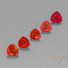 Shop natural 1.77ct Rouge cramoisi vif Saphir gems, Trillion, from Tanzanie at GemSelect. In stock, global shipping!
