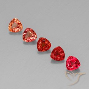 Achetez naturel 1,74ct multicolore saphir gems, trillion, en provenance tanzanie chez gemselect. en stock, livraison internationale!