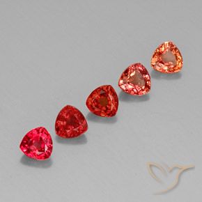 Achetez naturel 1,74ct multicolore saphir gems, trillion, en provenance tanzanie chez gemselect. en stock, livraison internationale!