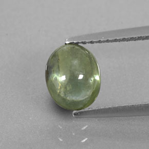 Saphir vert naturelle transparent, 1,67 ct, transparent / translucide