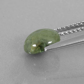 Saphir vert naturelle transparent, 1,67 ct, transparent / translucide