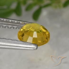 Saphir Doré naturelle Tour, 0.64 ct, VS