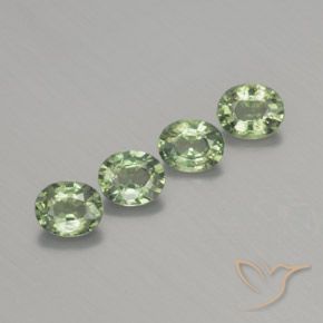 Shop natural 1.76ct Vert sauge léger Saphir gems, ovale, from Madagascar at GemSelect. In stock, global shipping!