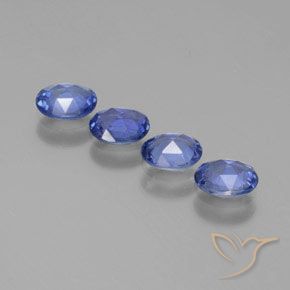 Achetez naturel 1.52ct Bleu marine moyen Saphir gems, Coupe ovale, En provenance Sri Lanka chez GemSelect. En stock, livraison internationale!