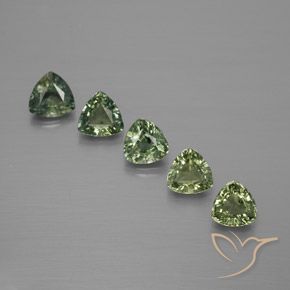 Shop natural 1.67ct Vert forêt léger Saphir gems, Trillion, from Tanzanie at GemSelect. In stock, global shipping!