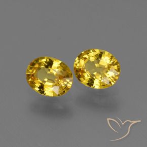 Shop natural 1.43ct Jaune miel Saphir gems, ovale, from Tanzanie at GemSelect. In stock, global shipping!