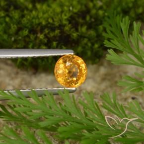 Saphir Doré-orange foncé naturelle Tour, 0.73 ct, VS