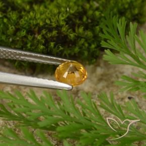 Saphir Doré-orange foncé naturelle Tour, 0.73 ct, VS