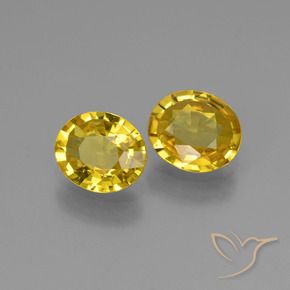 Shop natural 1.30ct Jaune miel léger Saphir gems, ovale, from Tanzanie at GemSelect. In stock, global shipping!