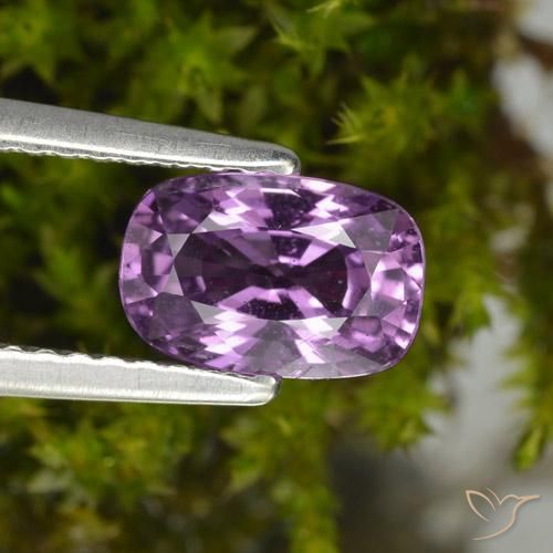 1.42ct Naturel Pourpre moyen Saphir, Coussin, VS