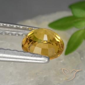 Saphir Doré foncé naturelle Tour, 0.83 ct, VVS