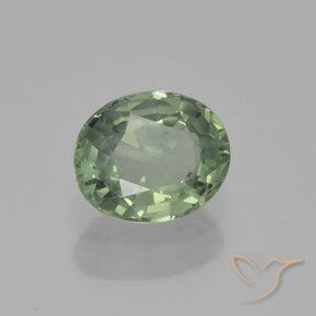 Saphir Vert forêt léger naturelle ovale, 0.88 ct, VS