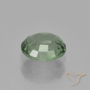 Saphir Vert forêt léger naturelle ovale, 0.88 ct, VS