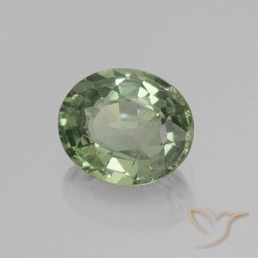 Saphir Medium Light Green naturelle ovale, 0.83 ct, VVS-VS