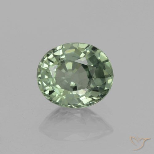 0.75ct Naturel Medium Light Green Saphir, ovale, VVS-VS