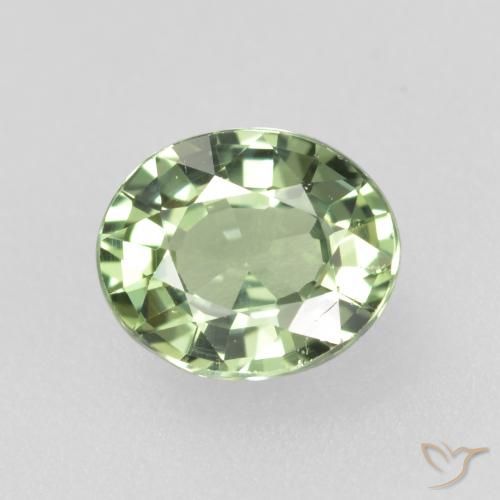 0.75ct Naturel Vert forêt léger Saphir, ovale, VVS-VS