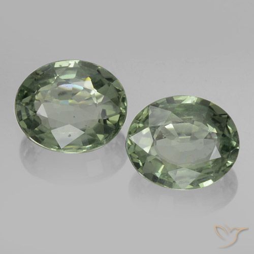 1.53ctw Naturel Vert terreux Saphir, ovale, VVS-VS