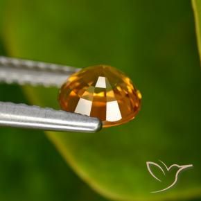Saphir Orange moyen-foncé naturelle Tour, 0.88 ct, VVS-VS