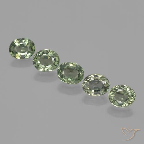 3.62ctw Naturel Vert terreux Saphir, ovale, VVS-VS