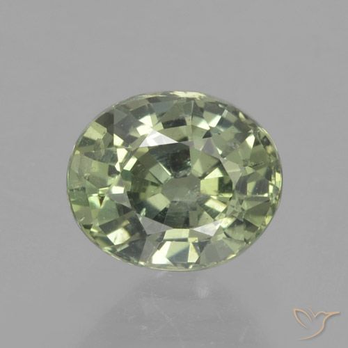 0.91ct Naturel Medium Light Green Saphir, ovale, VS