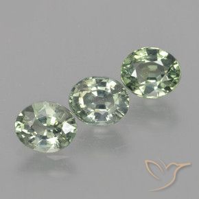 Shop natural 2.71ct Vert forêt léger Saphir gems, ovale, from Tanzanie at GemSelect. In stock, global shipping!